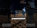 ركوب الخيل خيل اكسبلور ركوب الخيل خيل اكسبلور