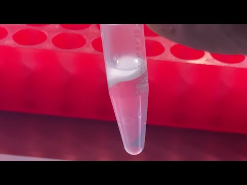 Educator's Guide to Nanopore—16s: DNA extraction
