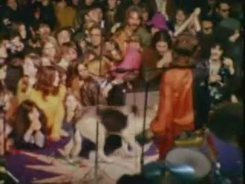 Altamont Hippie Montage