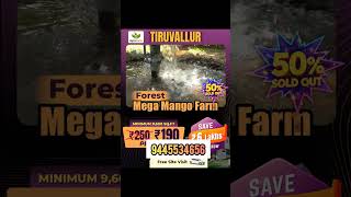 ₹19 Lakhsலே Premium Mango Farm | Subscribe for More Hidden Property Deals! 🚀 | #shorts #farming