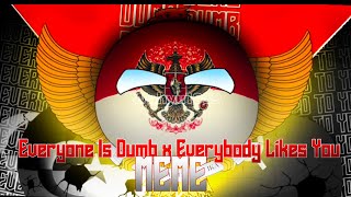 The Chosen One | Everyone Is Dumb x Everybody Likes You MEME | Countryballs Edit