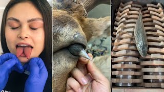 Most Popular Videos In Tiktok Special Episode-02 Best Tiktok Virar Videos 2020