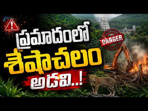 Seshachalam Forest Issue | ప్రమాదం లో శేషాచలం అడవులు | Save Seshachalam | ZEE Telugu News - ZEE24TELUGUNEWS