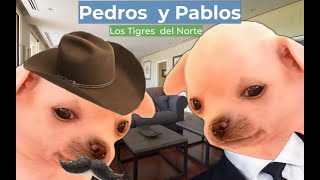 Pedro Y Pablo #Lasaventurasdedonkesikesiyperritu #lostigresdelnorteexitos