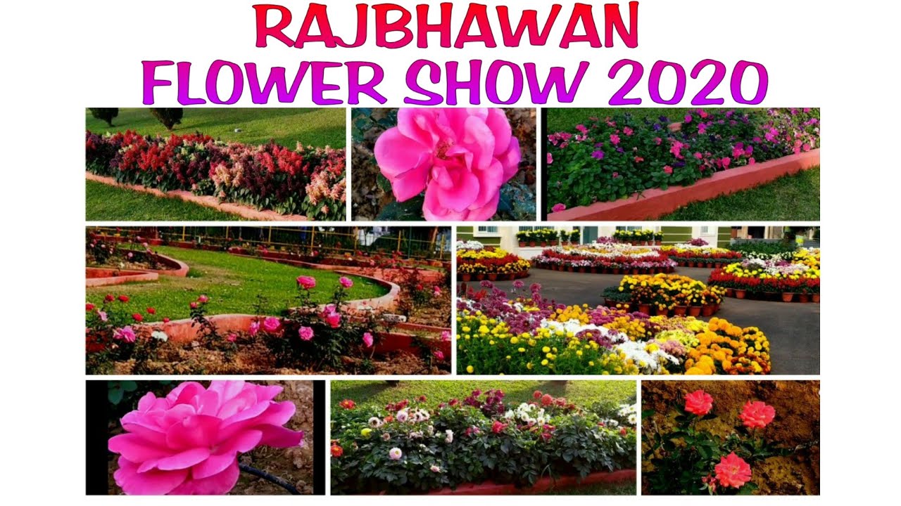 102 - FLOWER SHOW OF RAJBHAWAN 2020 || Governer House Visit