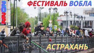 Фестиваль вобла 2022 в Астрахани! Финал! Награждение!