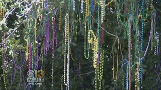 93,000 lbs. Of Mardi Gras Beads Removed From New Orleans Catch Basins