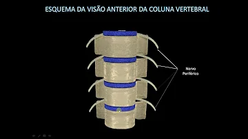 Quais são as partes do disco intervertebral?