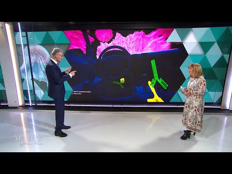 Video: Immunterapi Mot Bukspottkörtelcancer: Fungerar Det?