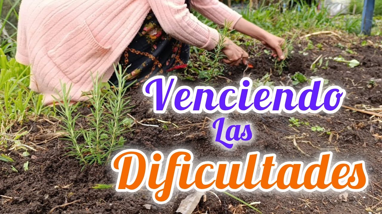 ❤️Venciendo las Dificultades/Receta🍪Galletas de Avena/una visita triste 😔...