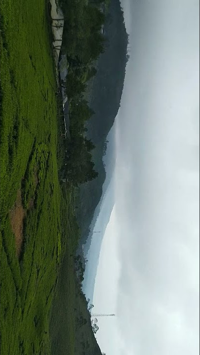 Telaga Saat, Puncak Bogor view