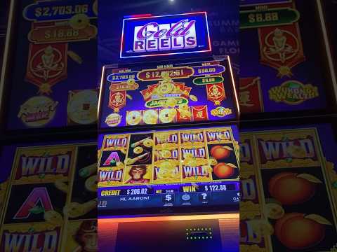 casino life cd Juárez