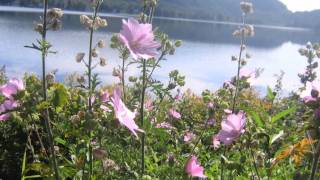 Miniatura del video "Sing to the Mountains by Bob Dufford - Saint Louis Jesuits: with lyrics"