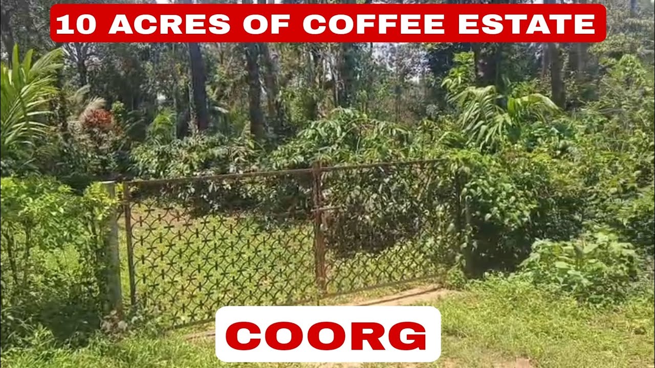 10 ACRES OF COFFEE ESTATE FOR SALE IN COORG. 9480957577 /9483875313