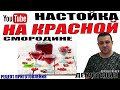 Настойка на красной смородине! Рецепт приготовления! Дегустация!