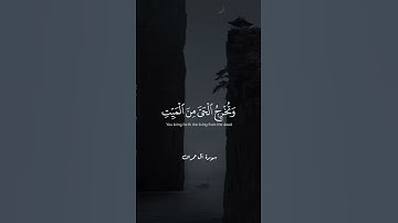 ❤️ تلاوة خاشعة جميلة بصوت الشيخ  سيد سعيد  ارح سمعك #سيد_سعيد #اجر_لي_ولك#تلاوة #اجر #القران #quran
