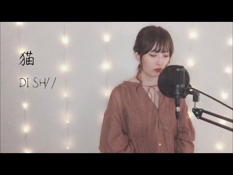 【女性が歌う】猫／DISH//(piano full ver.) 歌ってみた RIKOcover