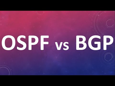 OSPF vs BGP || Aney Academy