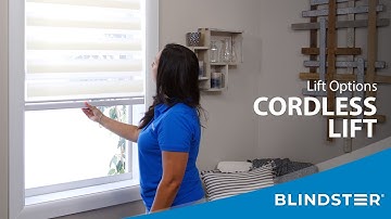 Zebra Dual Shades with Cordless Lift - Blindster QuickView