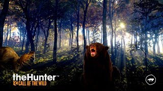 🔴Симулятор Охоты 2017 The Hunter: Call of the Wild. Какая же тут графа обалденная 🔴Симулятор Охоты 2017 The Hunter: Call of the Wild. Какая же тут графа обалденная