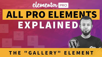 The Pro Gallery Widget Tutorial | Elementor Pro Tutorial