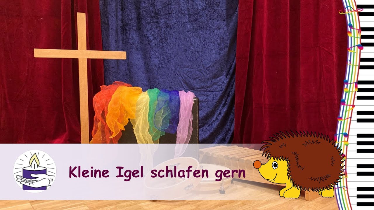 Kleine Igel schlafen gern