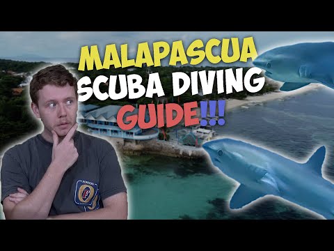 THE Ultimate guide!