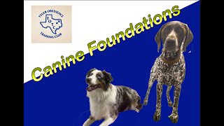 Canine Foundations Class - Intro Video