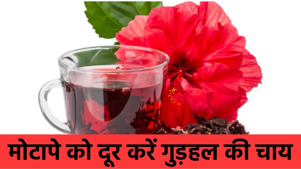5 फायदे गुड़हल की चाय पीने से | Health Benefits of Hibiscus Tea In