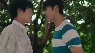 《荔枝树下热烈岛》第七集 暗涌奔赴（大结局）预告终于来了～4月5日，我们不见不散！