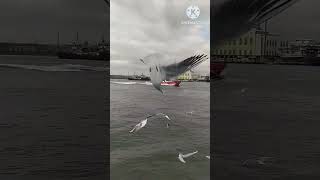 يا طيور النورس محمد ثروت    معدية بور سعيد            سمعها