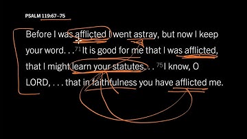 The True Prosperity Gospel: Psalm 1:3, Part 2