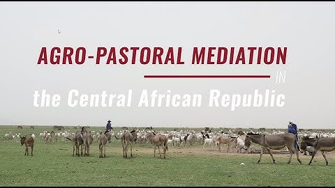 Agro-pastoral mediation in Central African Republic