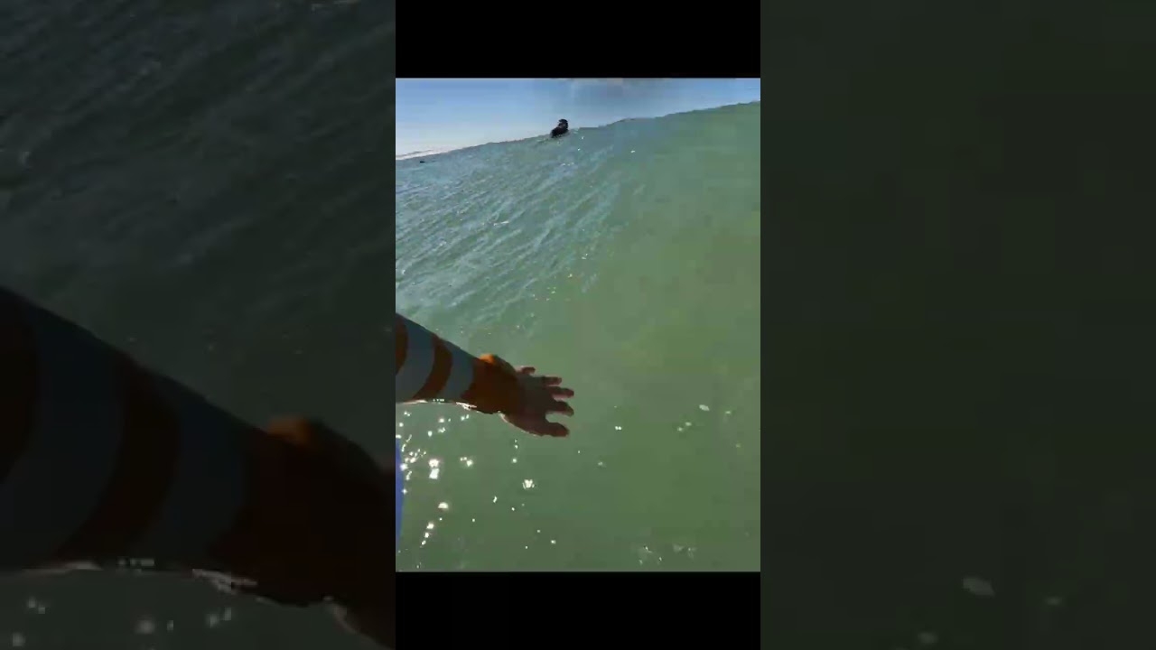 Epic First Surf On Aloha Surfboards 'New Fish' - YouTube