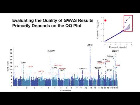 How to interpret QQ-Plot