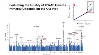 How to interpret QQ-Plot
