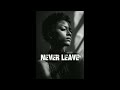 [Free For Profit] RnB Dancehall x Afro RnB Type Beat  - "Never leave"