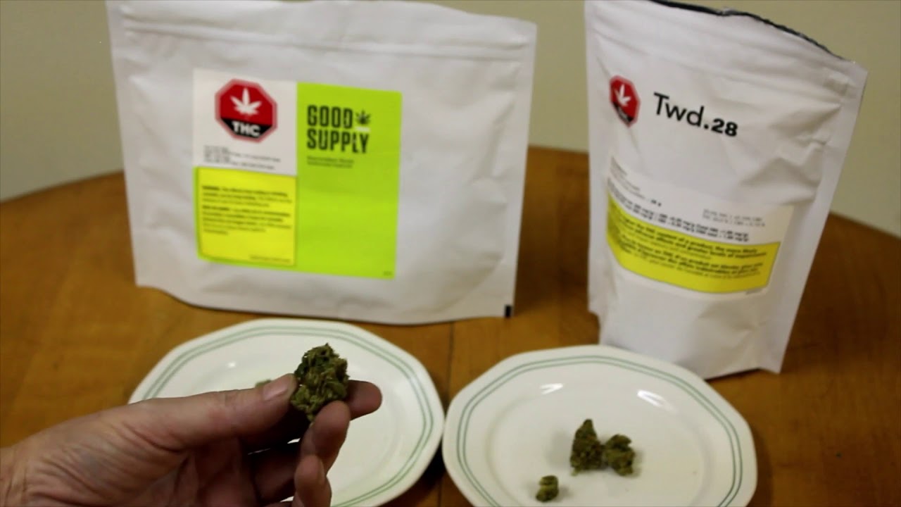 OCS TWD vs. Starwalker Kush /review