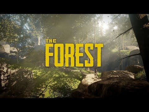The Forest ищем енота