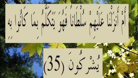 القران الكريم سورة الروم الأية 35.wmv