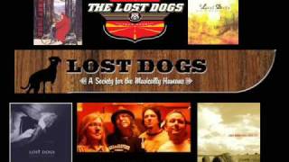 Watch Lost Dogs Lovely Man video