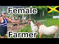 Visiting farmer girl Jess farm young female farmer *must watch*