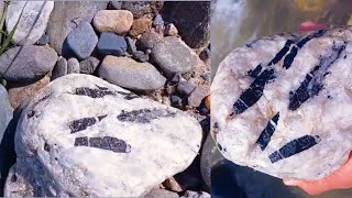 Tourmalin Crystals in sand | Black tourmaline with quartz