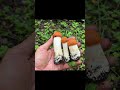 ПОДОСИНОВИКИ ПОШЛИ В АТАКУ! ДОСТАВАЙ НОЖИ 🔪