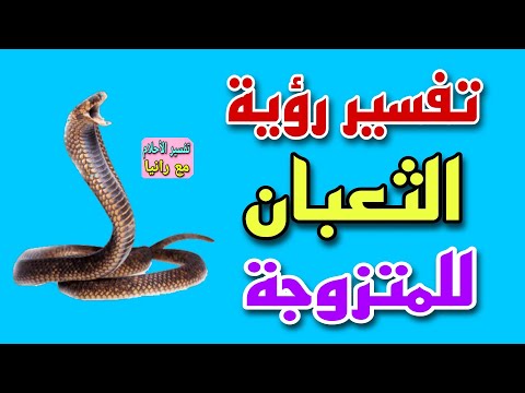 تفسير رؤية الثعبان للمتزوجة فى المنام لابن سيرين