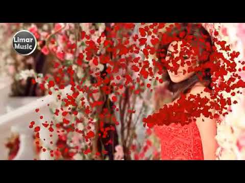 لا تبكي يورود الدار نجوى كرم