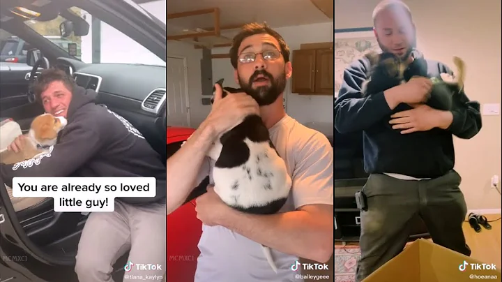 Surprising my husband with his dream dog