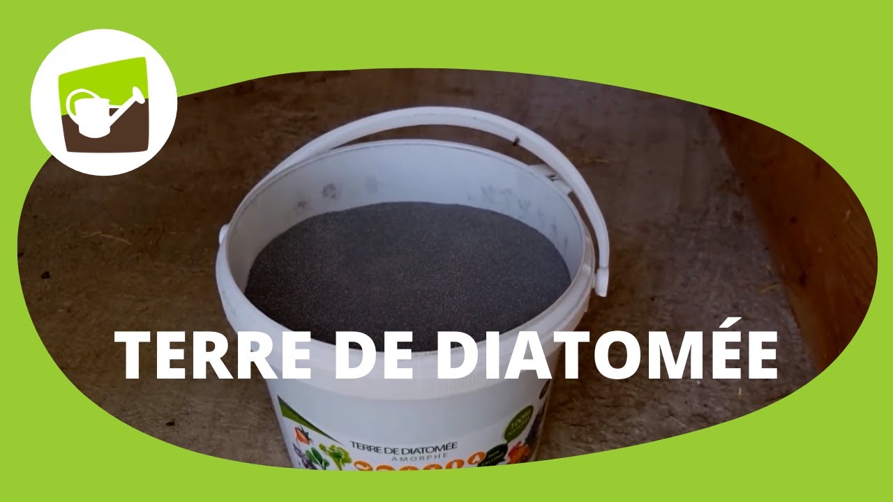 Terre de diatomée : 9 utilisations astucieuses pour la maison