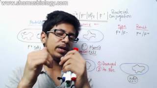 Bacterial Conjugation - Hfr, f prime and f plasmid