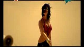 Bengü - Gezegen 2008